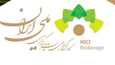 لوگو کارگزاری سرمایه گذاری ملی ایرانیان
